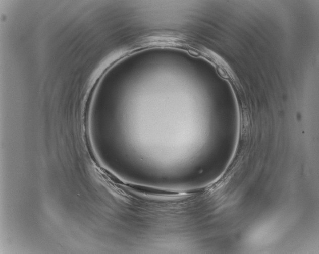 X0000076271435200609281154