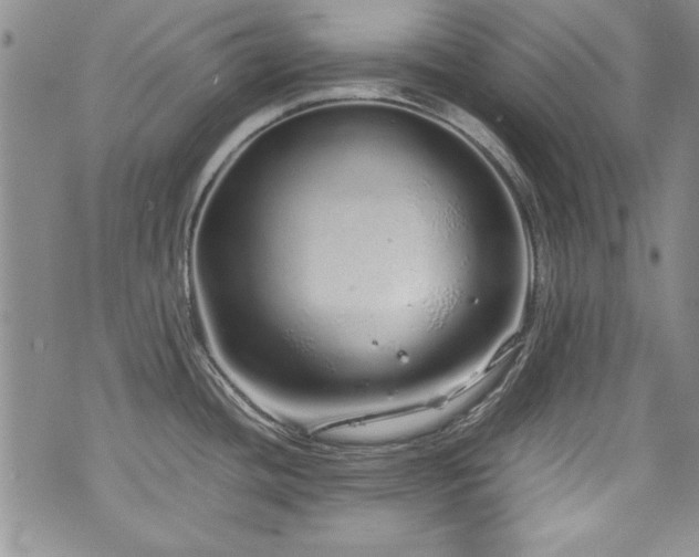 X0000076271436200609281154