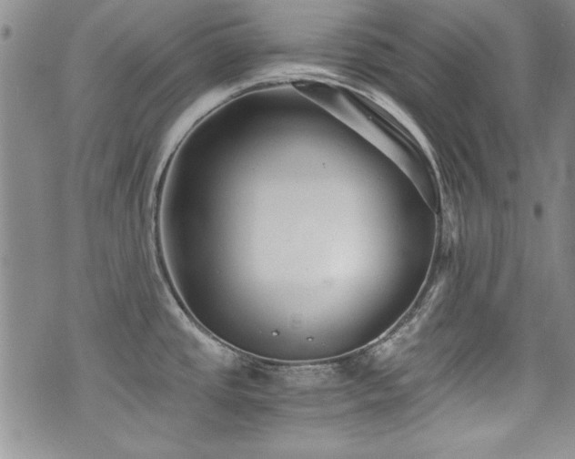 X0000076271437200609281154