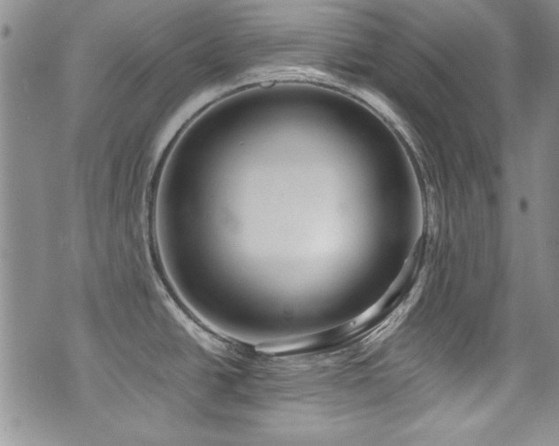 X0000076271438200609281154