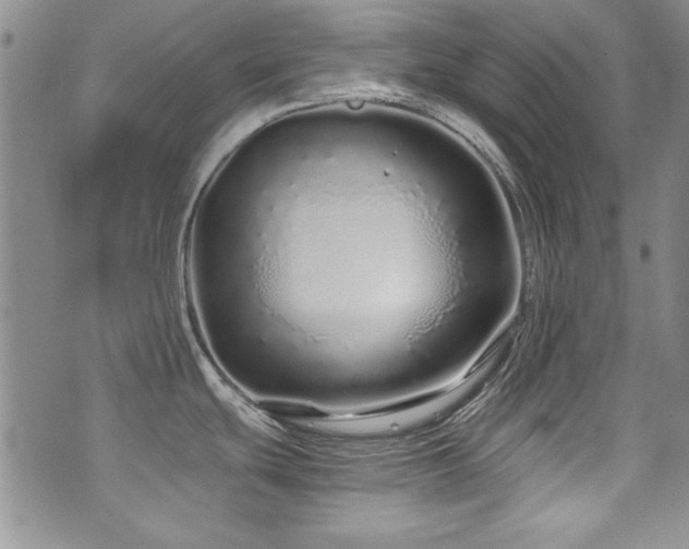 X0000076271439200609281154