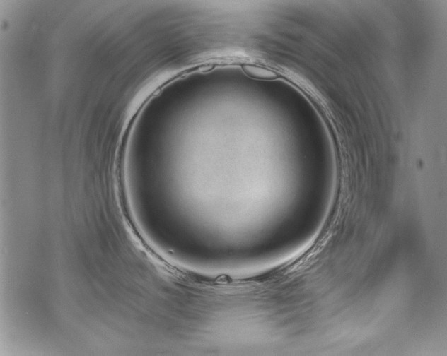 X0000076271440200609281154