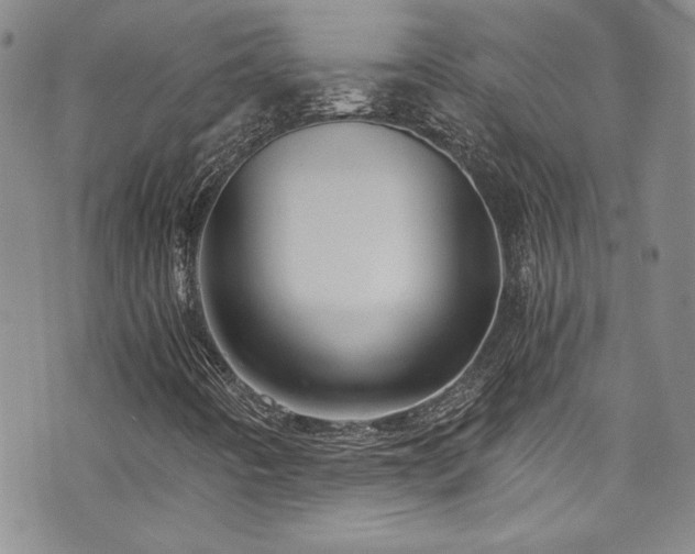 X0000076271442200609281153