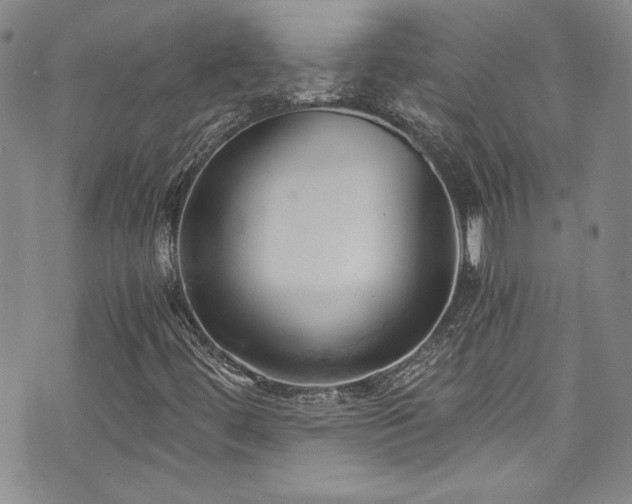 X0000076271444200609281153