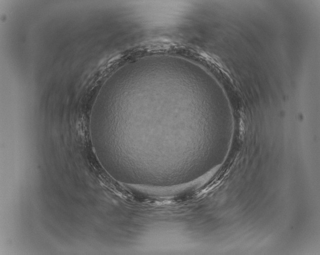 X0000076271445200609281153