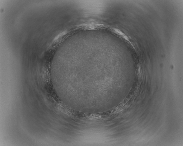 X0000076271446200609281153