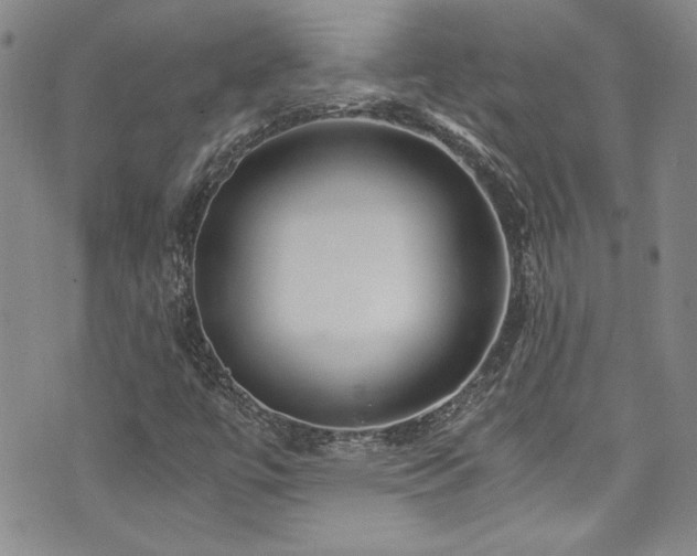 X0000076271447200609281153