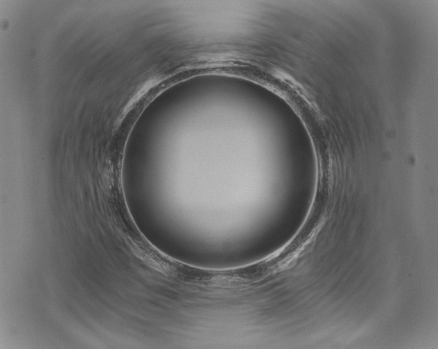 X0000076271449200609281153