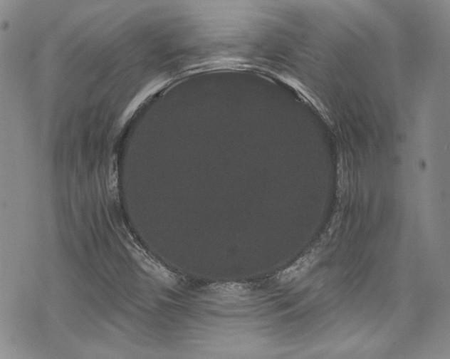 X0000076271450200609281153