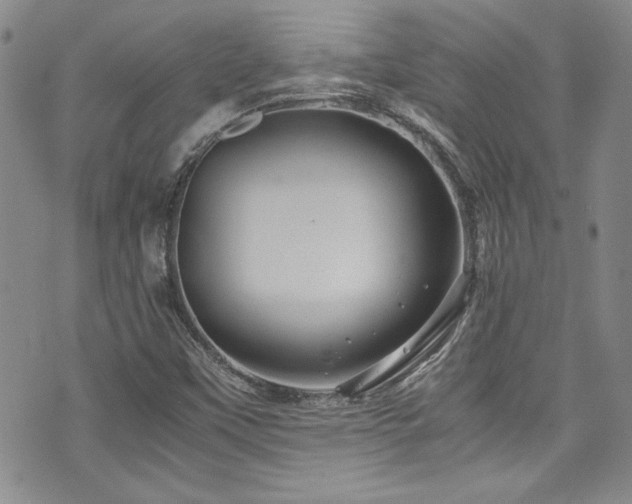 X0000076271451200609281153