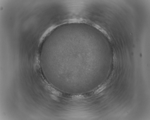 X0000076271454200609281153