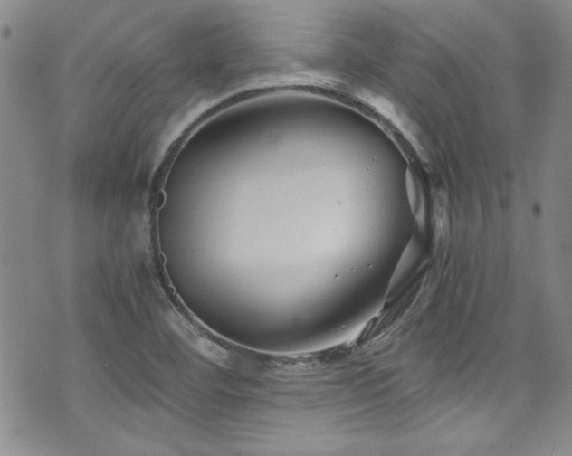 X0000076271460200609281153