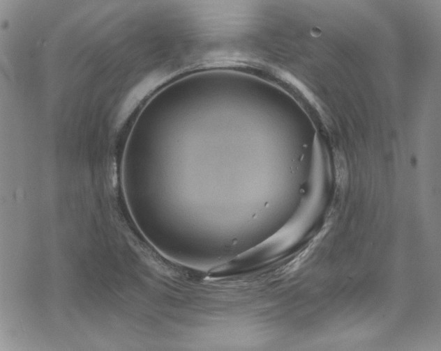 X0000076271461200609281153