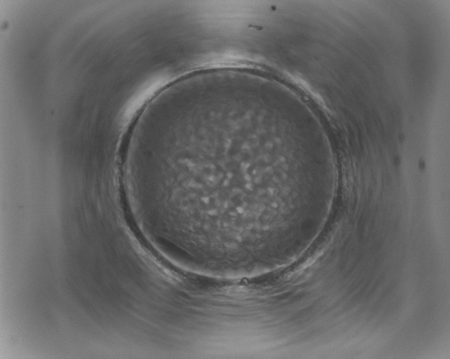 X0000076271463200609281153