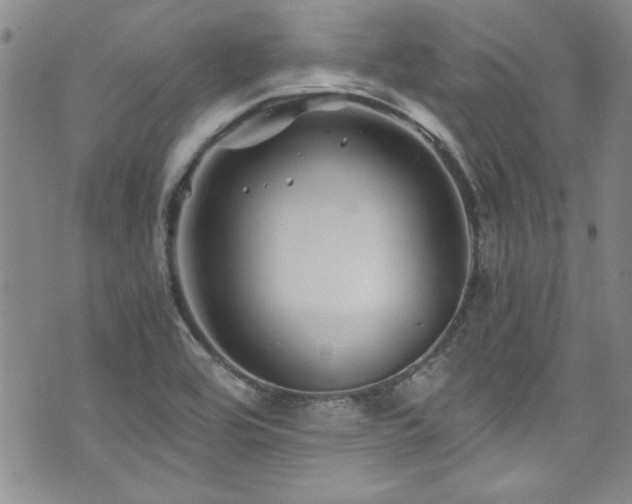 X0000076271464200609281153