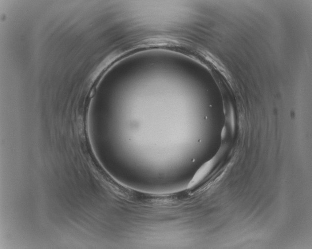 X0000076271465200609281153