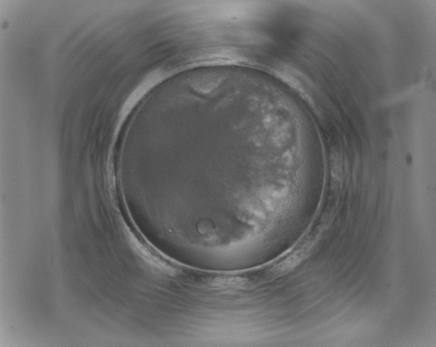 X0000076271466200609281153