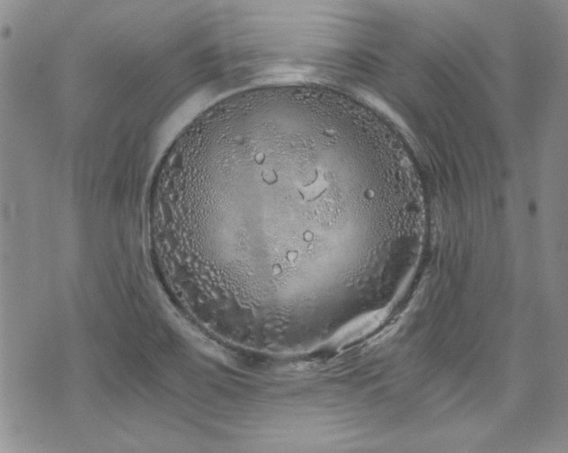 X0000076271467200609281153