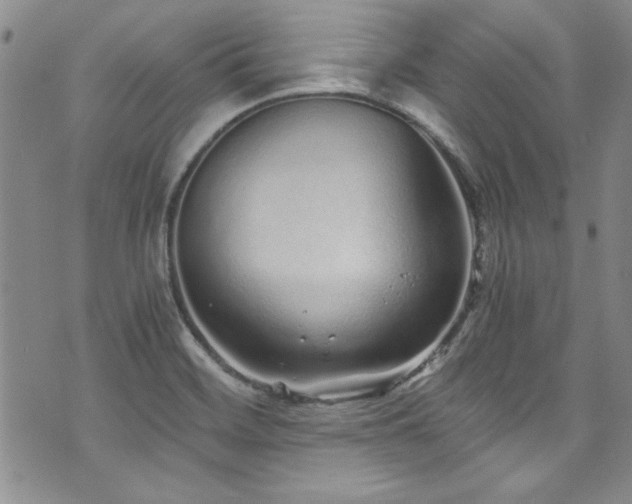 X0000076271468200609281153