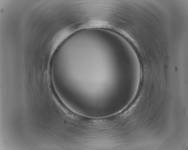 X0000076271469200609281153