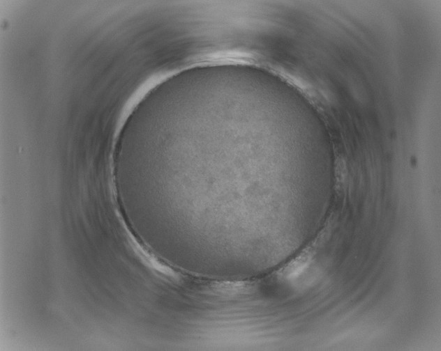 X0000076271470200609281153