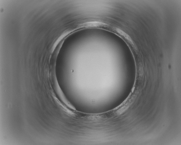 X0000076271473200609281153