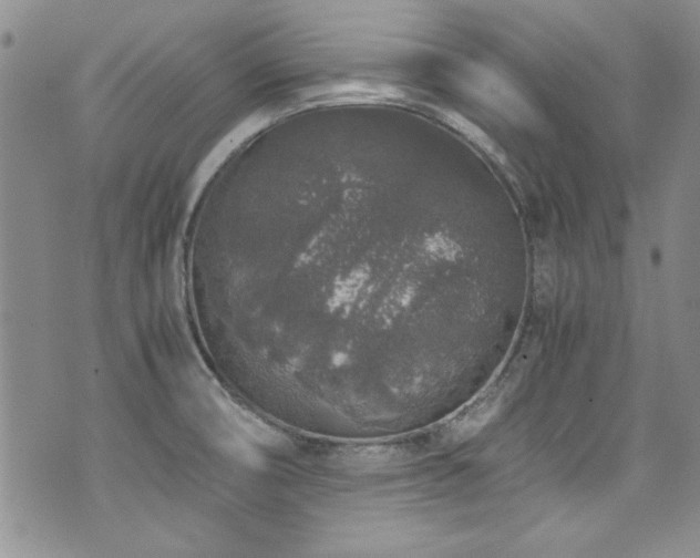 X0000076271474200609281153