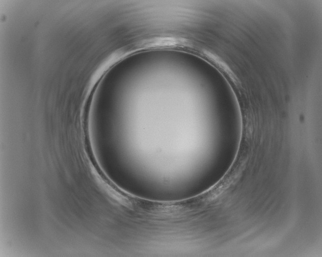 X0000076271475200609281153