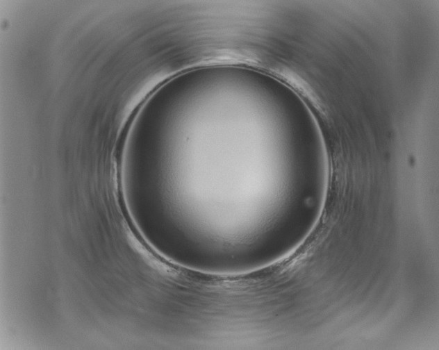 X0000076271476200609281153