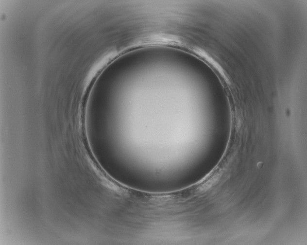 X0000076271477200609281153