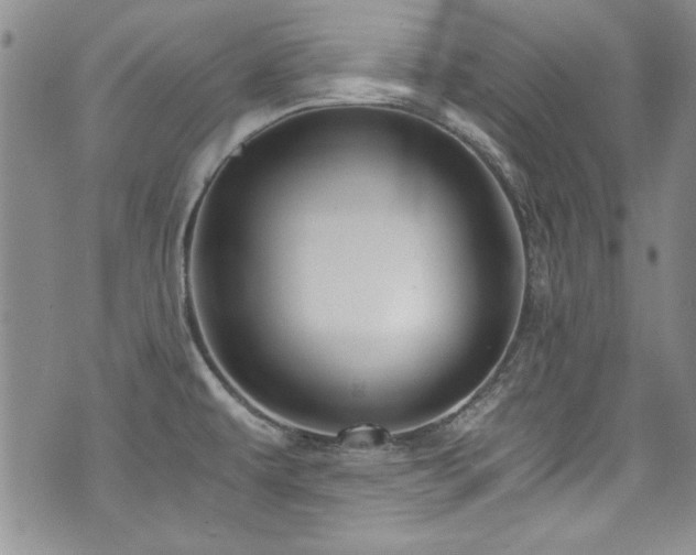 X0000076271479200609281153