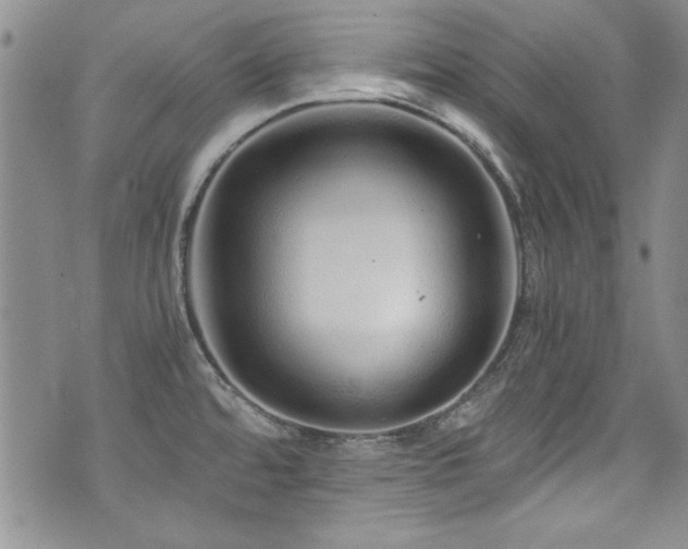 X0000076271480200609281153