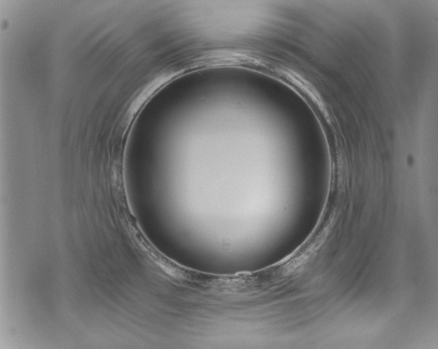 X0000076271481200609281153