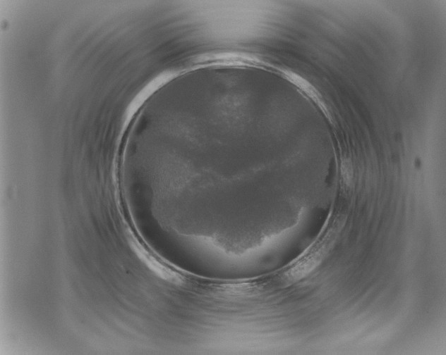 X0000076271482200609281153