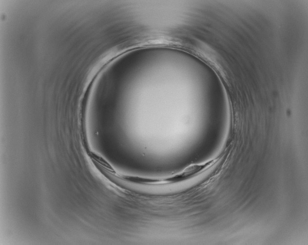 X0000076271483200609281153