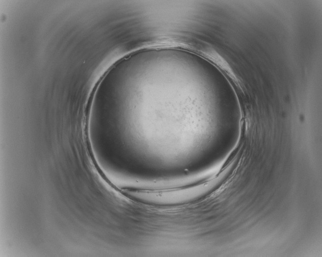 X0000076271484200609281153