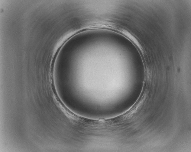 X0000076271485200609281153