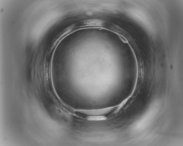 X0000076271487200609281153