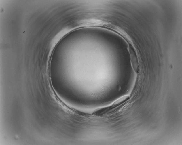 X0000076271488200609281153