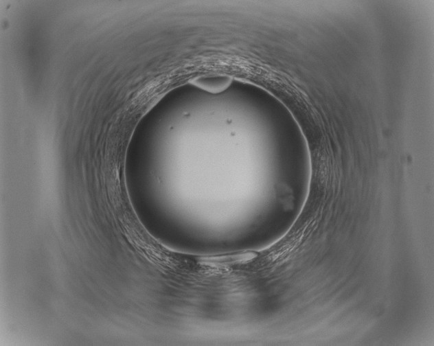 X0000076271489200609281152