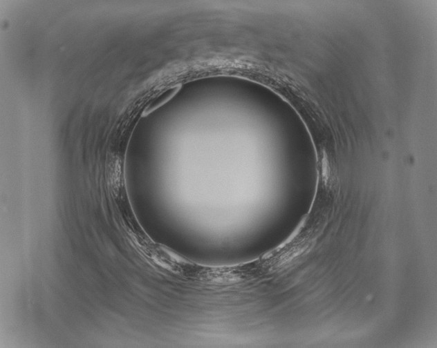 X0000076271492200609281152