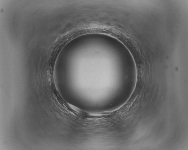 X0000076271493200609281152