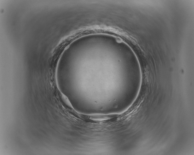 X0000076271494200609281152