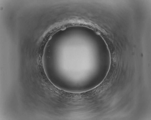 X0000076271495200609281152