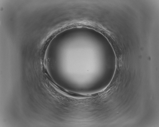 X0000076271496200609281152