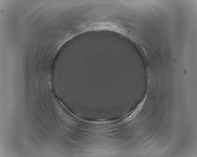 X0000076271497200609281152