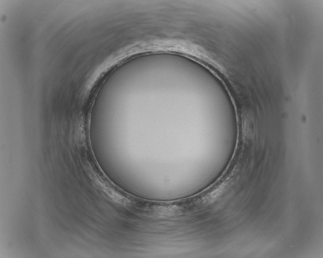 X0000076271498200609281152