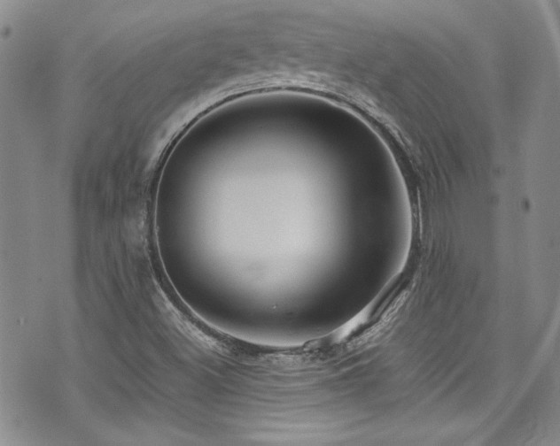 X0000076271500200609281152