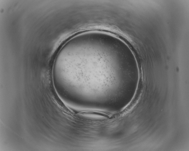 X0000076271501200609281152