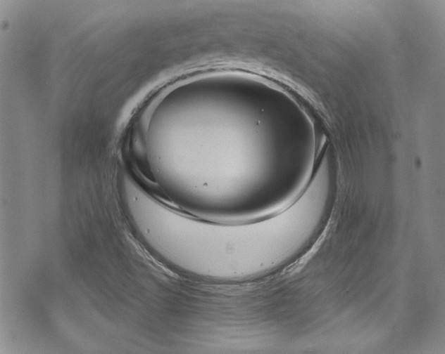 X0000076271502200609281152